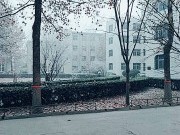 162杨梦瑶 雪 