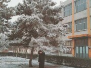 1612黄一凡 雪不染俗