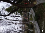 IMG 20180224 164658
