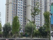 无标签