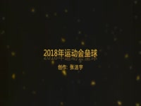 2018年运动会垒球